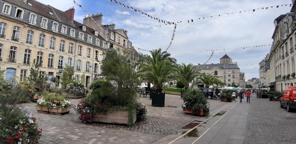 Appartement Lumineux Idealement Situe A Proximite De Musees Equipements Sportifs Salle De Spectacle Commerces Caen Eksteriør billede